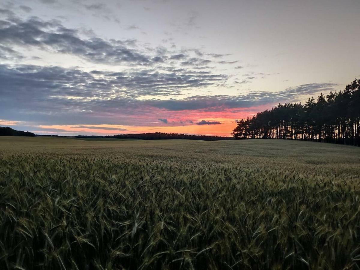 Stawy U Sikory - Dom Rybak - Agroturystyka I Lowisko Nowa Wies  Exterior photo